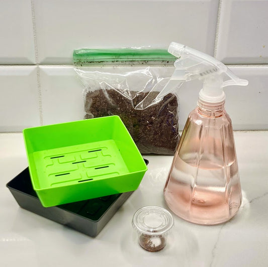 Microgreens Grow Kit