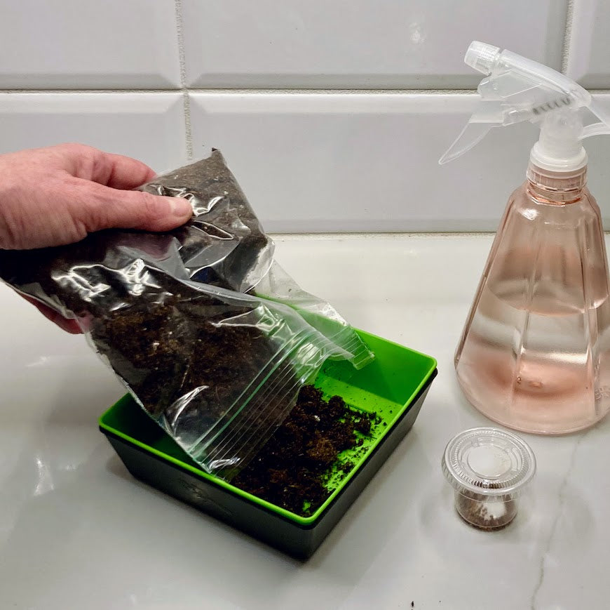 Microgreens Grow Kit