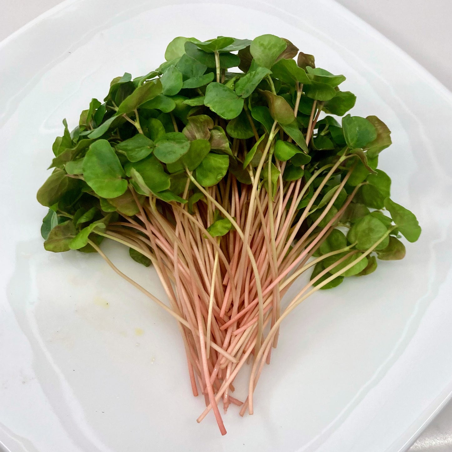 Buckwheat, Organic