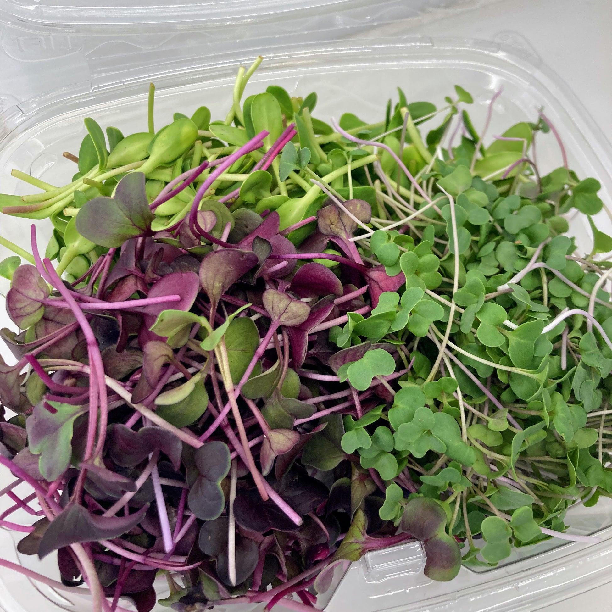HEYDAY GREENS Variety Mix No 3 - Red Radish, Broccoli and Sunflower organic microgreens