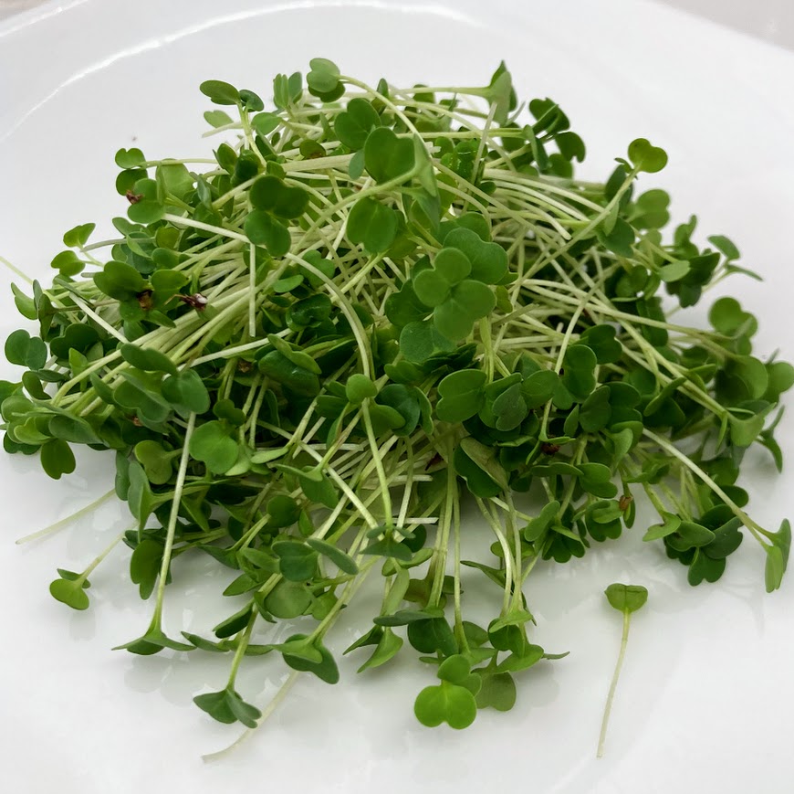 Arugula, Organic