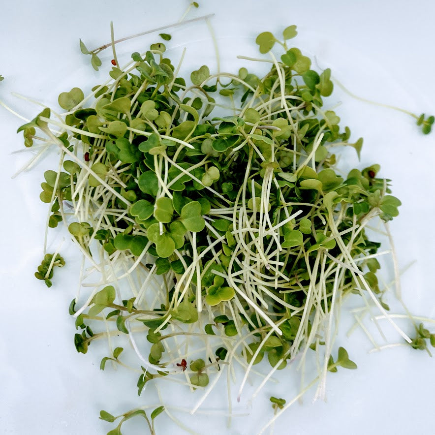 Broccoli Raab (Rapini), Organic