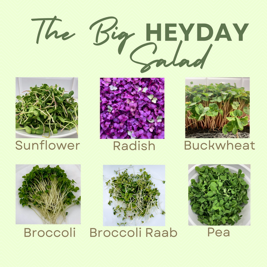 The Big HEYDAY Salad, Organic