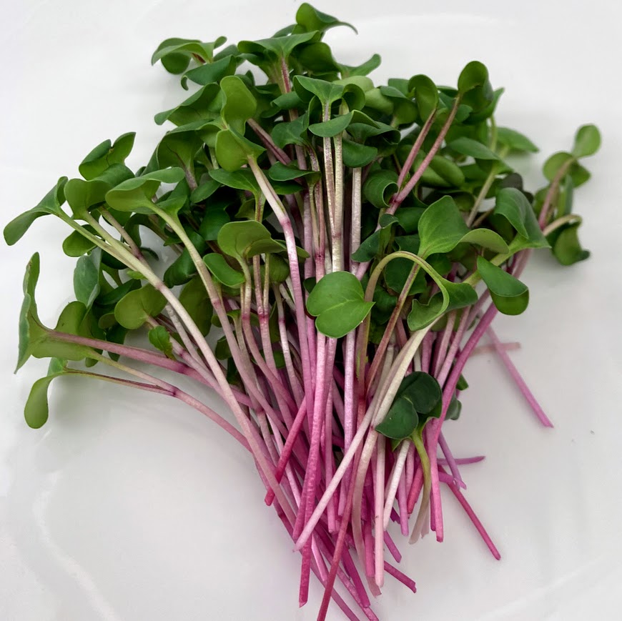 Radish Mix, Organic