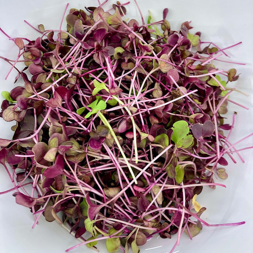 red radish in a pile ready to add in your meal