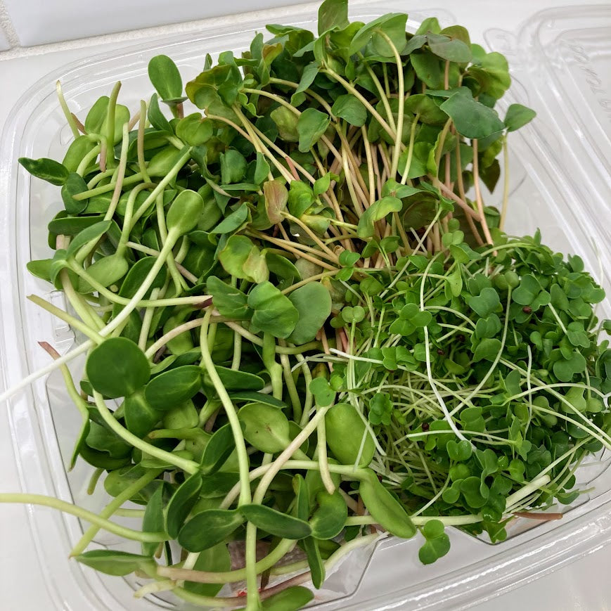 Variety Mix No. 1, Organic - Sunflower, Buckwheat and Broccoli