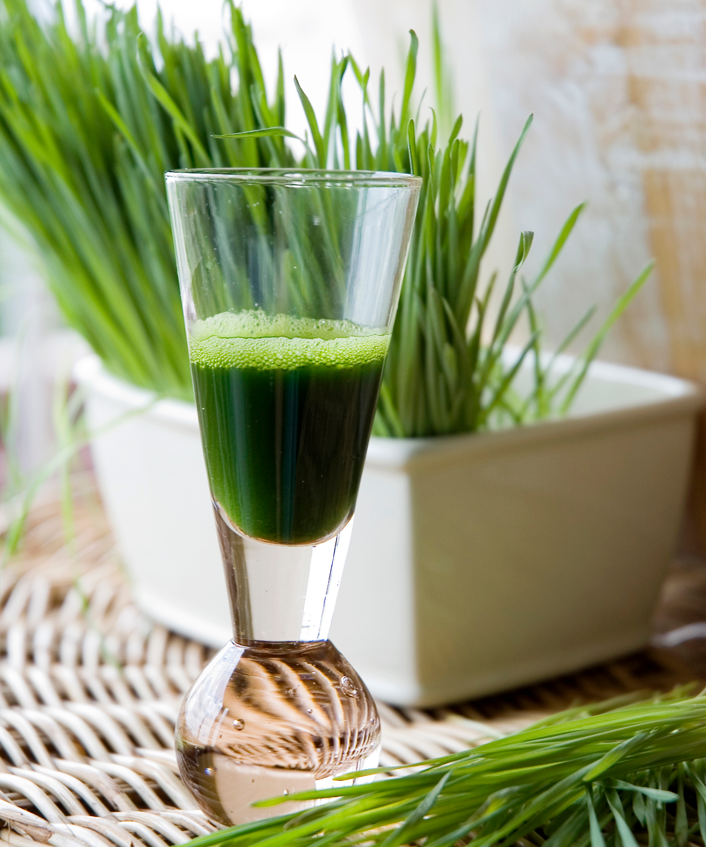 Wheatgrass, Organic